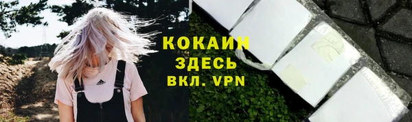 не бодяженный Заводоуковск