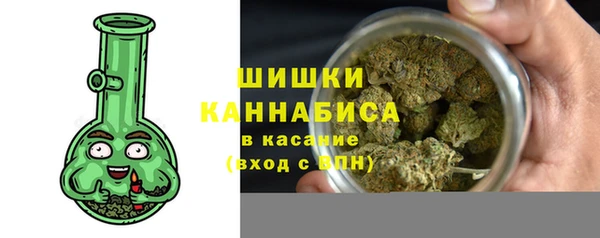 не бодяженный Заводоуковск