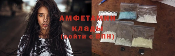 амф Дмитров