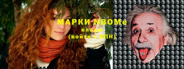 амф Дмитров