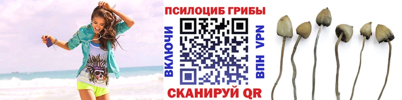 Галлюциногенные грибы MAGIC MUSHROOMS Копейск