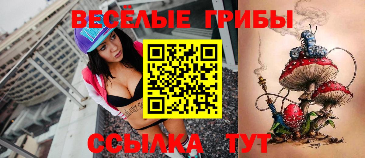 Копейск  Псилоцибиновые грибы ЛСД  Вход с VPN 