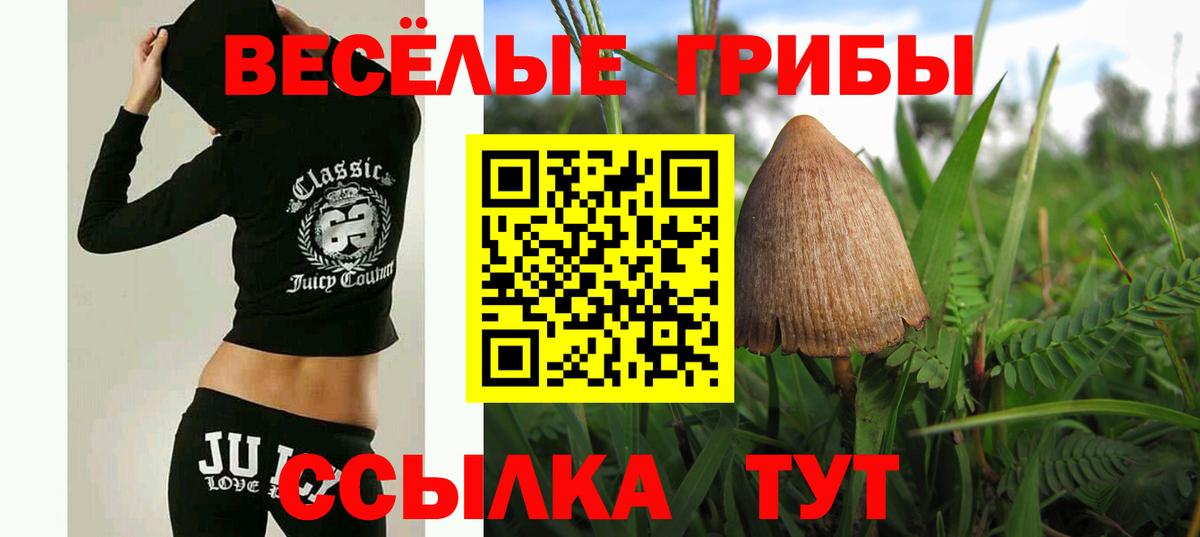 Псилоцибиновые грибы мухоморы Копейск